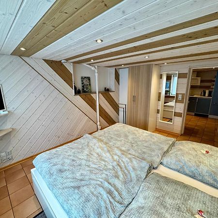 Schwabennestle - Ferienwohnung Albstadt-Onstmettingen Экстерьер фото
